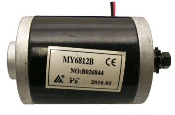 Electric Motor for Razor E100/E125/E150/175 (24V, 100W)