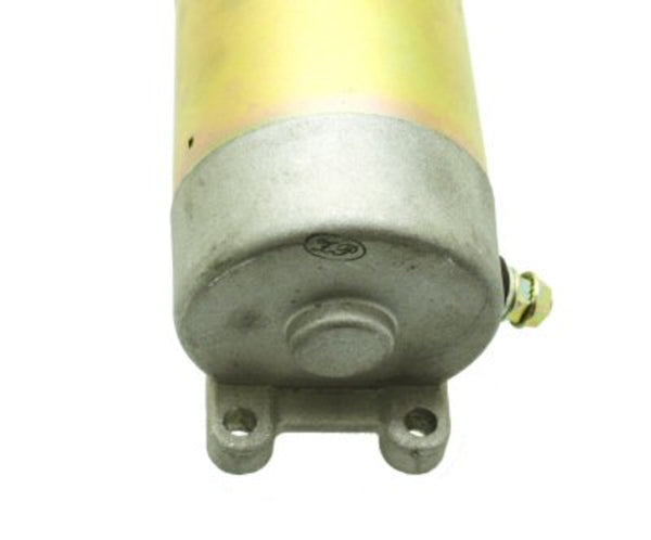 Electric Starter Motor - 250cc