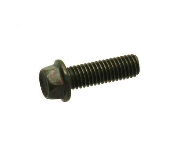 Universal Parts M8-1.25 x 25 Bolt