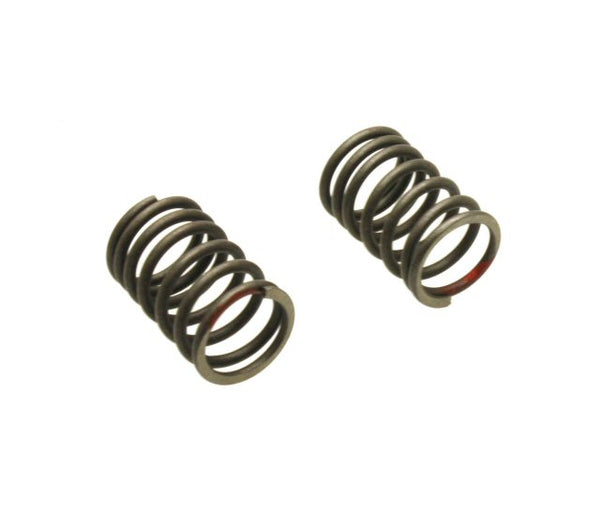 Universal Parts Outer Valve Springs - Set of 2