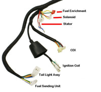 Complete GY6 Scooter Wire Harness