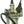 Primo Scooter Company Carburetor for 4-stroke - PZ19
