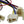 Primo Scooter Company 6-Pin Electrical Kit for Razor MX500 & MX650