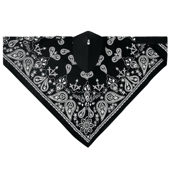 BLACK PAISLEY- WNEO101