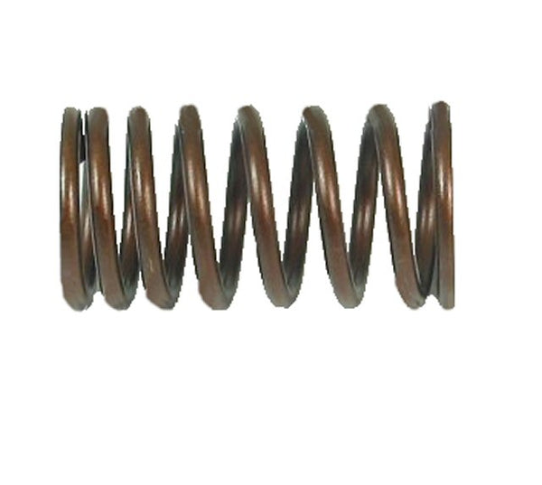 Outer Valve Spring